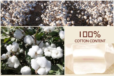 ผ้าฝ้าย Cotton 100% คืออะไร